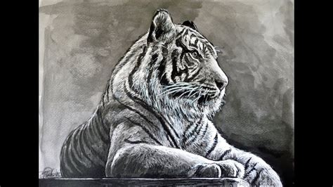 Tiger Drawing With Pen And Ink Time Lapse Youtube