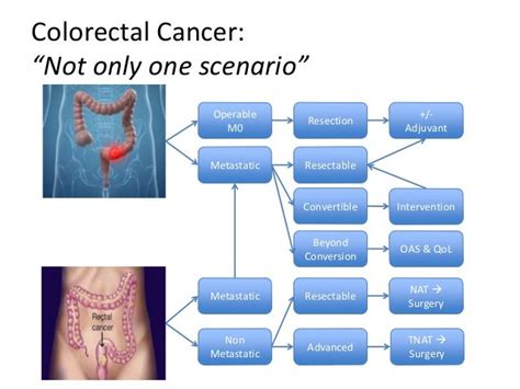 Metastatic Colorectal Cancer Do We Need The Oncologist