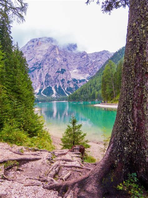 Lac Braies Dolomites Italie Image Stock Image Du Nature Connu