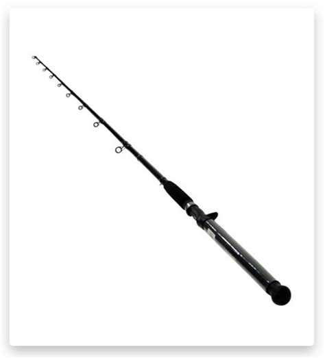 TOP 14 Trolling Rods Buying Guide Reviews 2022