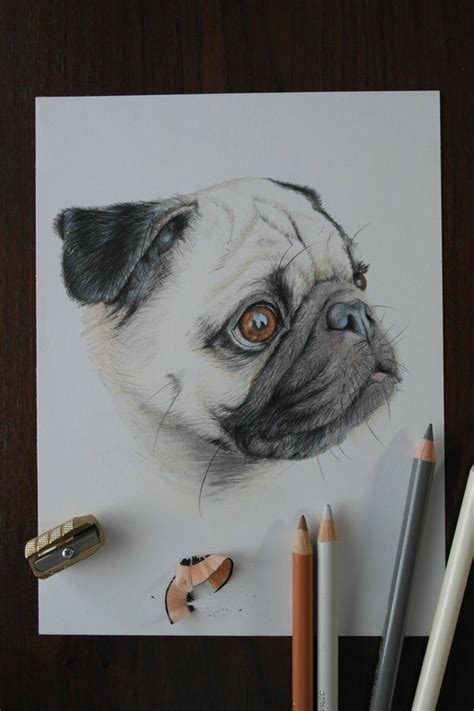 Maybe you would like to learn more about one of these? Custom Pet Portrait / Dog Portrait / Coloured Pencil Drawing / Gift for Dog Lover / Animal ...