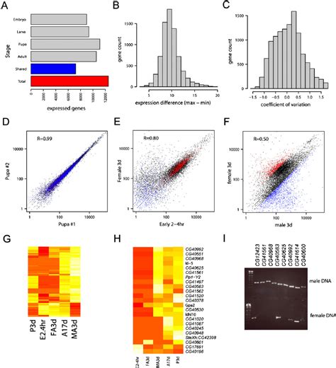 Sex Biased Expression Occurs In One Third Of Genes A