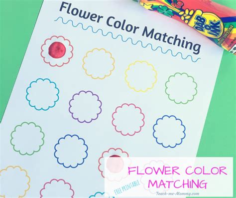 Flower Color Matching Teach Me Mommy