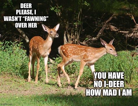 Deer Memes And S Imgflip