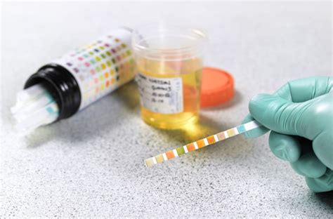 Where a certain substance might only be in the bloodstream or urine for less than a week, the presence of the drug's molecules in the hair could last much longer, as long as 90 days. How Long Drugs Can Be Detected in Your System