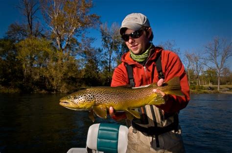 Fly Fishing The White River And The Norfork In Arkansas Blue Ribbon