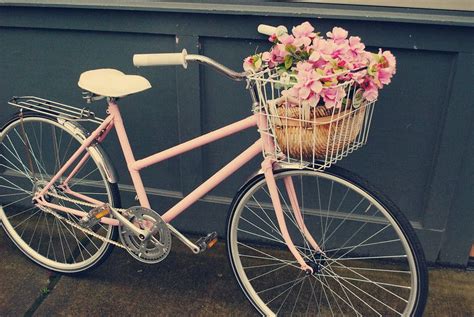 Pink Vintage Bicycle Grace Flickr Velo Vintage Vintage Bicycles