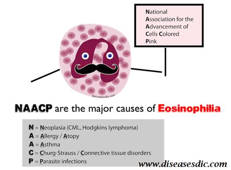 High Eosinophils Causes And Symptoms