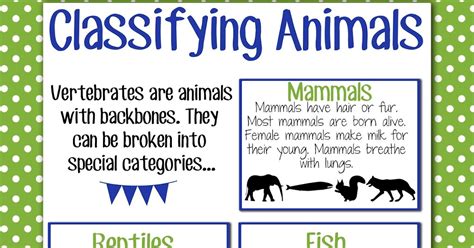 Magic & Markers: Classifying Animals