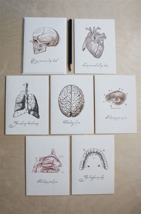 Anatomical Love Greeting Cards Love Anatomically Etsy Love Notes
