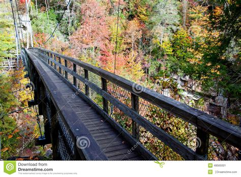 Wooden Bridge In The Autumn Stock Image Image Of Colors Bridge 48565001