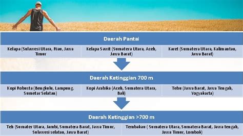 POTENSI DAN PERSEBARAN SUMBERDAYA PERTANIAN PERKEBUNAN PERIKANAN DAN