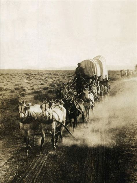 Covered Wagons On The Plains Going West By Bettmann Très Romantique