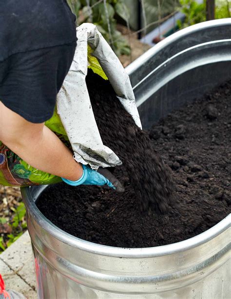 Best Bagged Soil For Raised Vegetable Garden Burpee Natural Organic