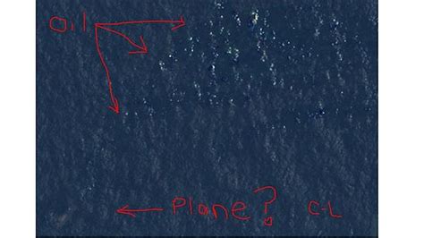 courtney love s search for malaysia airlines flight mh370 takes flight as a meme au