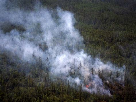 Smoke From Siberia Wildfires Has Reached The North Pole For The 1st