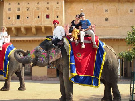 Fathom The Royal Lifestyle Of The Kings By Riding Elephants In Amber Fort