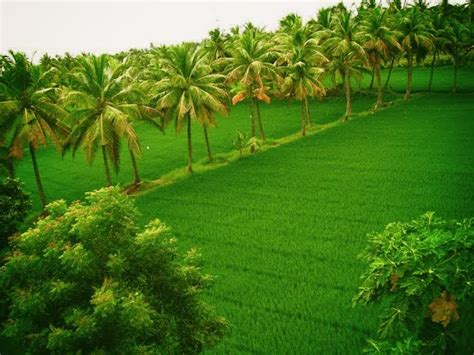 20 Must Visit Beautiful Places In Andhra Pradesh