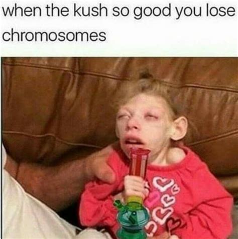 Chronic Chromosome