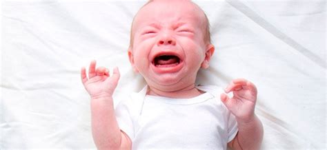 Por Qué Los Bebés Lloran Sin Lágrimas