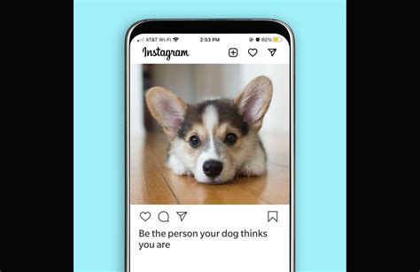 These 45 pawfect Instagram captions will turn your dog photos viral