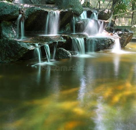 Koi Fish Pond With Waterfalls Stock Photo Image Of Landscape Stream