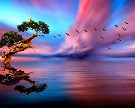 Lonely Tree Sunset Lake Birds In Flight Horizon Art Images Hd