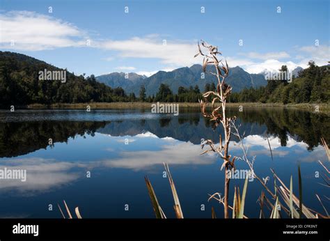 Reflections In Lake Matheson South Island New Zealand Stock Photo Alamy