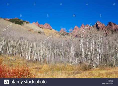 Colorado Mountain Landscape In Maroon Bells Snowmass Wilderness Aspen