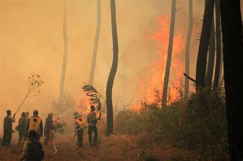 Kawasan hutan desa setianegara sangat cocok untuk menenangkan diri. Api Belum Padam, 75 Hektare Lahan di Gunung Ciremai ...