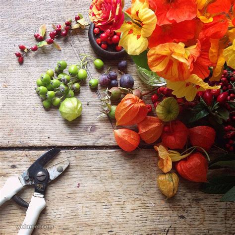 20 Beautiful Still Life Flower Photography Examples By Philippa Stanton