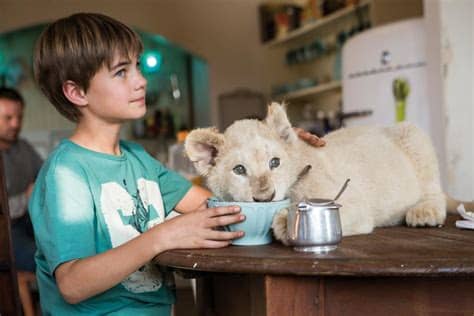 Pour participer, il suffit de laisser un commentaire sous la. Mia and the White Lion de Gilles de Maistre (2017) - UniFrance