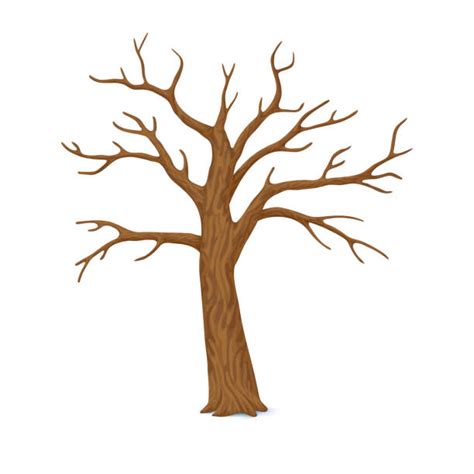 Tree Trunk Illustrations Royalty Free Vector Graphics And Clip Art Istock