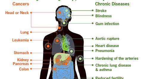Nicotine Effects On Body Effect Choices