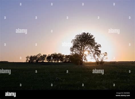 Tranquil rural scene with silhouettes of trees at the horizon on a hill