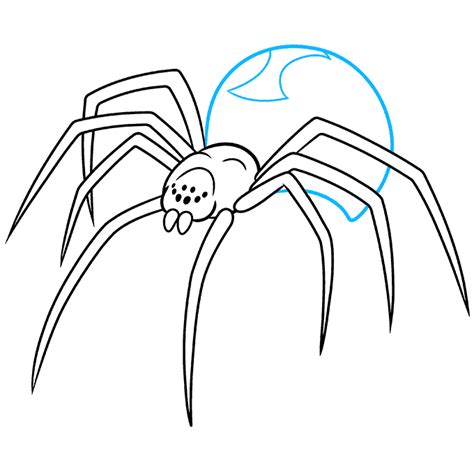 How To Draw A Black Widow Spider Really Easy Drawing Tutorial