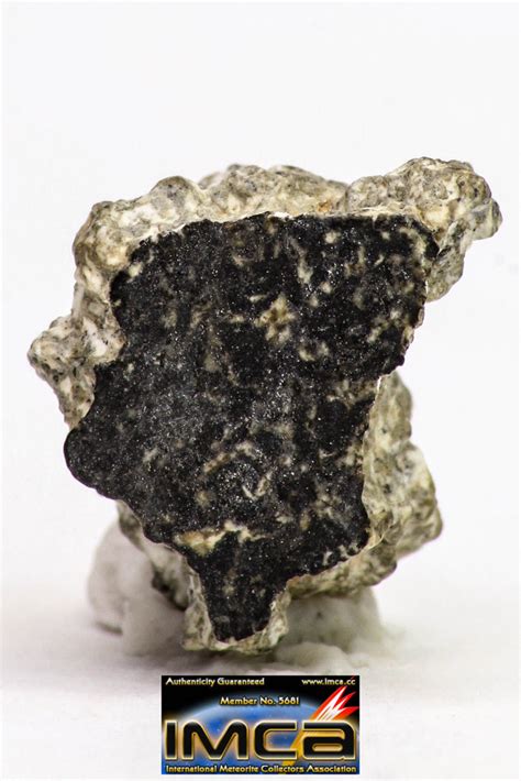 Fragment 2100 G Nwa Monomict Eucrite Achondrite With Fresh Fusion
