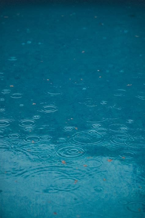 Will My Pool Overflow From Rain How To Prevent It Openwaterhq