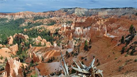 Green Trees Bryce Canyon National Park Landscape Hd Wallpaper