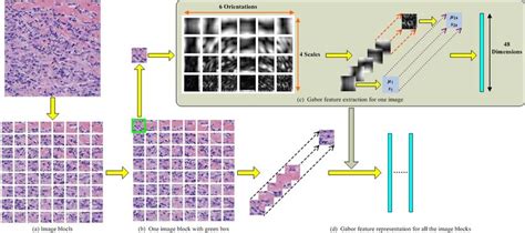 Block Gabor Feature Extraction For The Pathological Image A Image