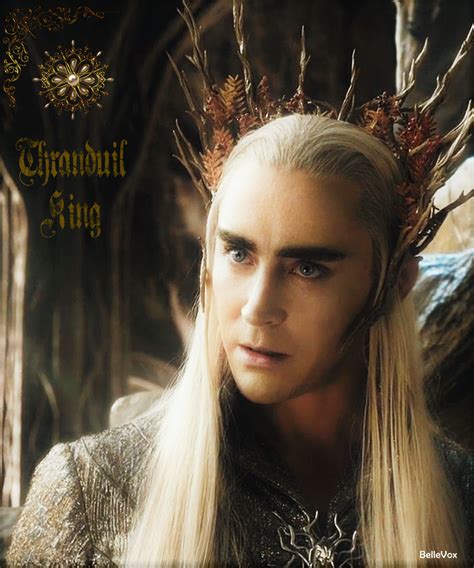 Pin By Rochelle Harris On Thranduil ~ King Of The Northern Realm ~ Part