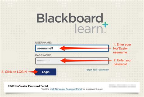 Blackboard Support Portal For Une Online Students Student Portal