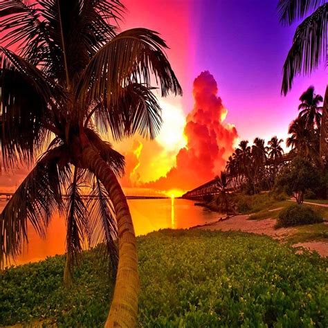 Tropical Sunrise Wallpaper By Luckyman E1 Free On Zedge