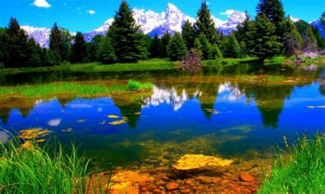 Download High Resolution Nature Wallpapers Natural Cool Images