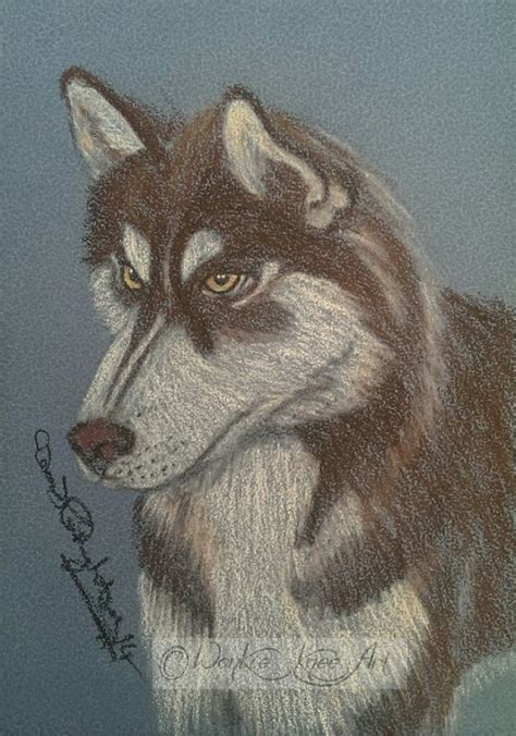 Baz The Siberian Husky 5x7 Commission Pastel Pencil On Pastel