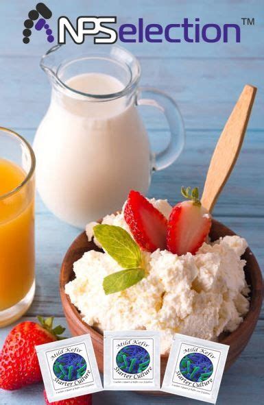 bravo probiotic yogurt and nutrient bioavailability