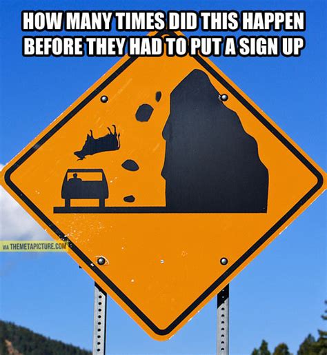 Beware Of The Falling Cows