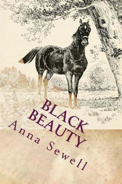 Black Beauty Illustrated By Anna Sewell Paperback Barnes And Noble®