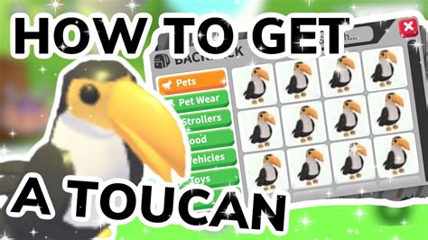 How To Get A Toucan In Adopt Me Roblox Youtube