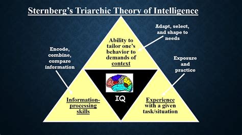 The Theory Of Human Intelligence And Its Tw